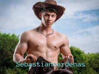 Sebastiancardenas