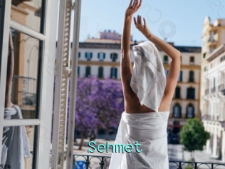 Sehmet