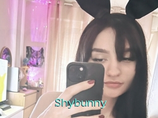 Shybunny