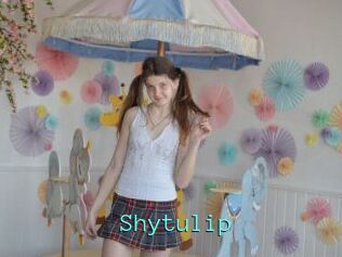 Shytulip