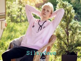 Silkydave