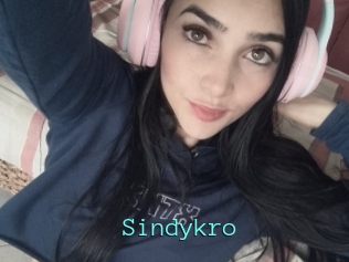 Sindykro