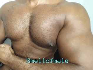 smellofmale Mobile Sex