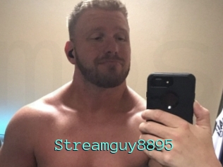 Streamguy8895