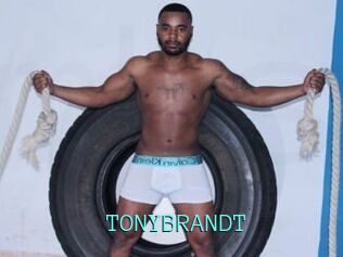TONYBRANDT