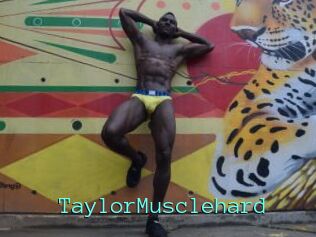 TaylorMusclehard