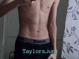 TaylorsJunk