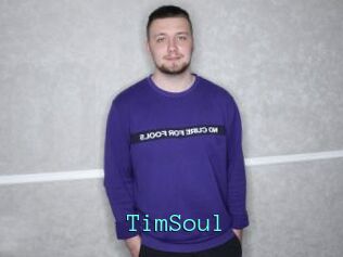 TimSoul