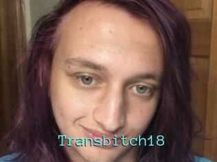 Transbitch18