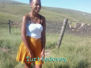 Turtledovey