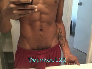 Twinkcut22