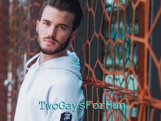 TwoGaysForFun
