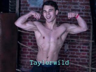 Taylerwild