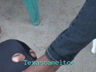 Texascameltoe