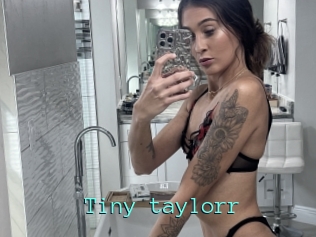 Tiny_taylorr