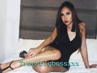 Transbigbossxxx