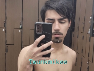 Twunkmikee