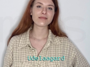 Udelaagard
