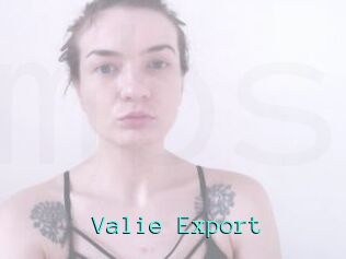 Valie_Export Mobile Sex