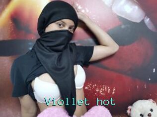 Viollet_hot