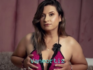 Vaneortiz