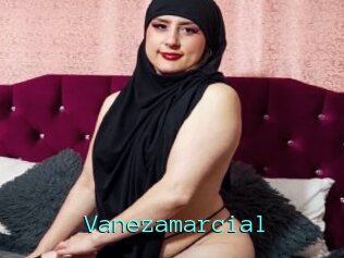 Vanezamarcial