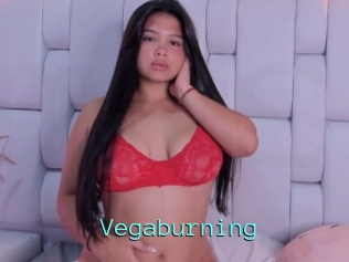 Vegaburning