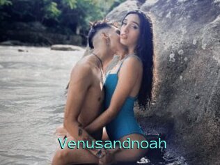 Venusandnoah