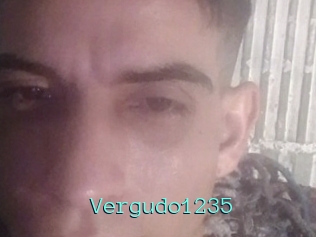 Vergudo1235