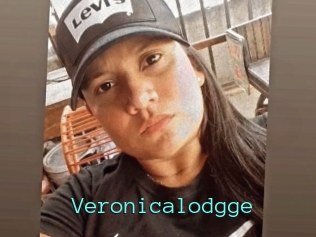 Veronicalodgge