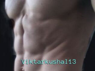 Viktarkushal13