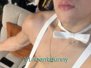 Vincentbunny