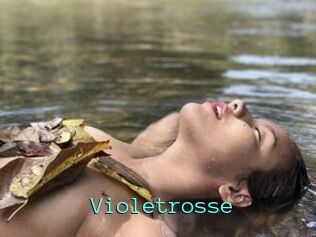 Violetrosse