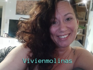 Vivienmolinas