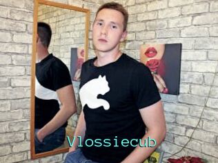 Vlossiecub
