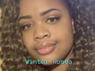 Winter_Rosea
