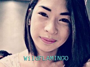 WildFLAMINGO