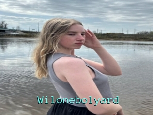 Wilonebolyard