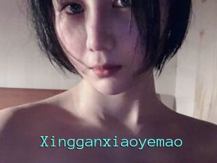 Xingganxiaoyemao