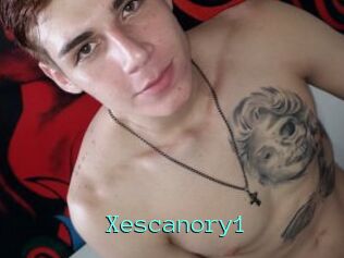 Xescanory1