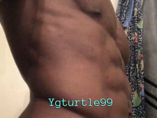 Ygturtle99