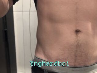 Ynghardboi