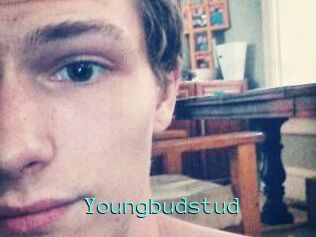 Youngbudstud