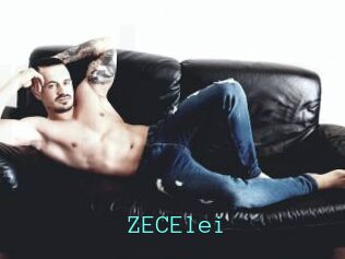 ZECElei