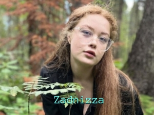 Zadnizza